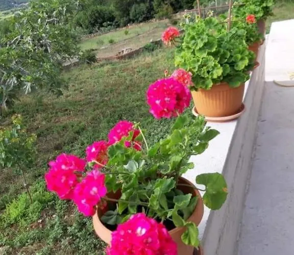 Gardenia House Holiday home *