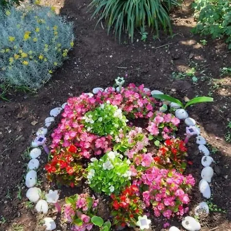 Gardenia House * Janjina