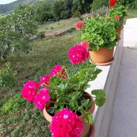 Gardenia House בית נופש *